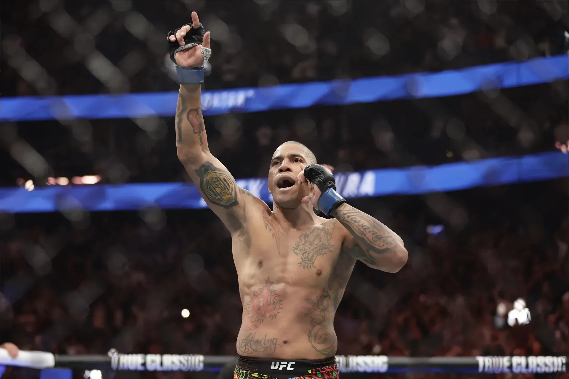 MMA article image