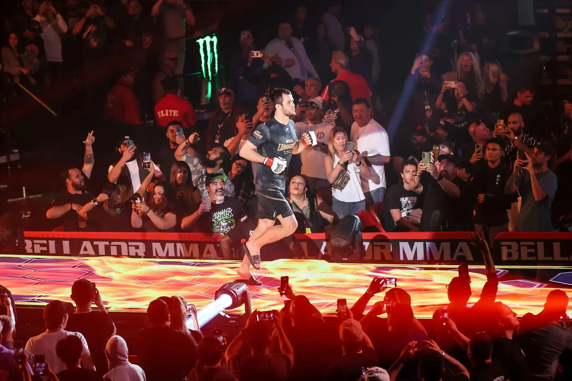 MMA article image