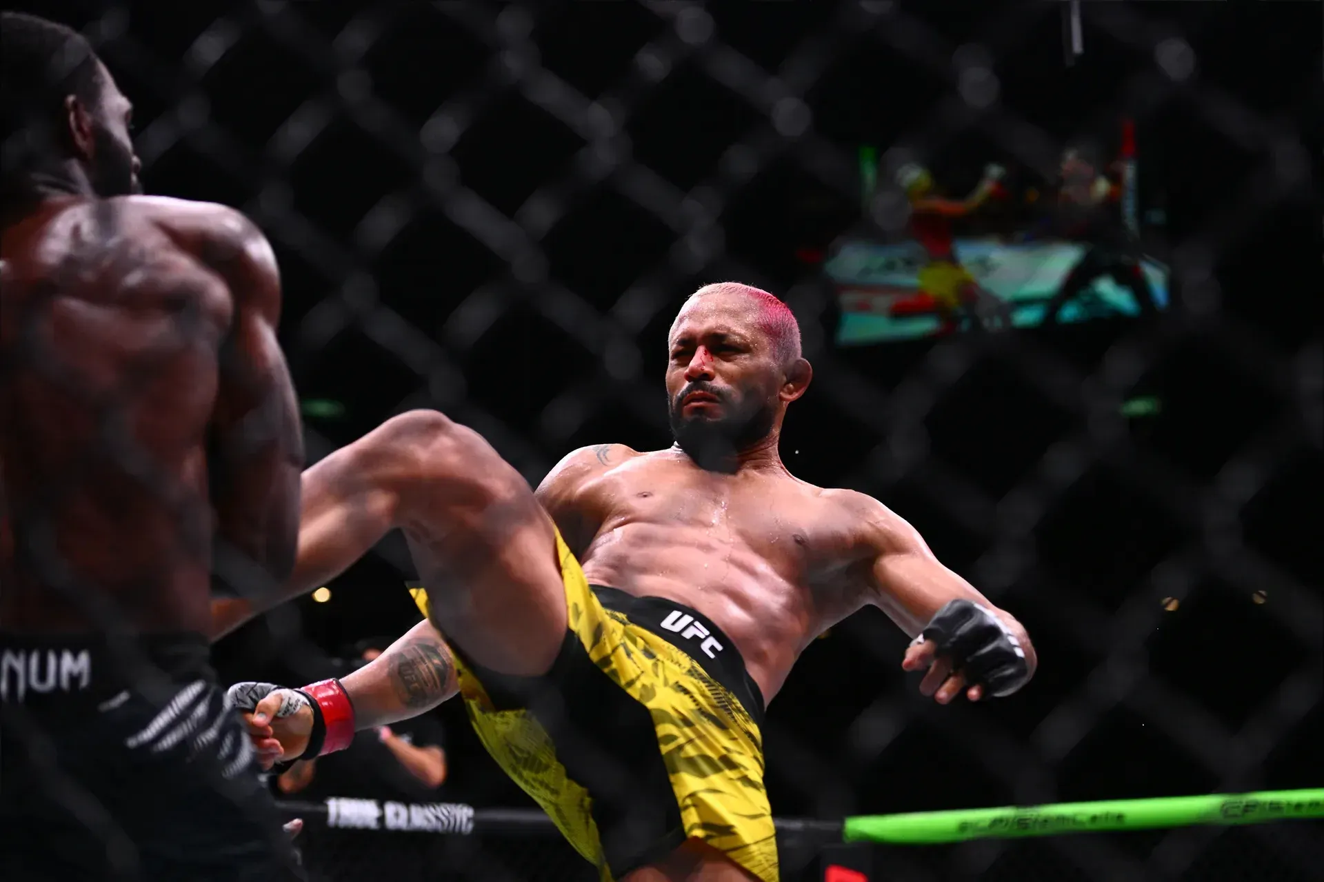 MMA article image