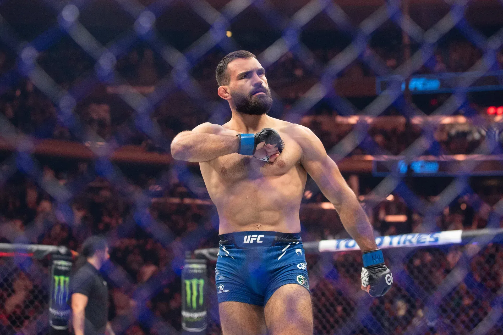 MMA article image