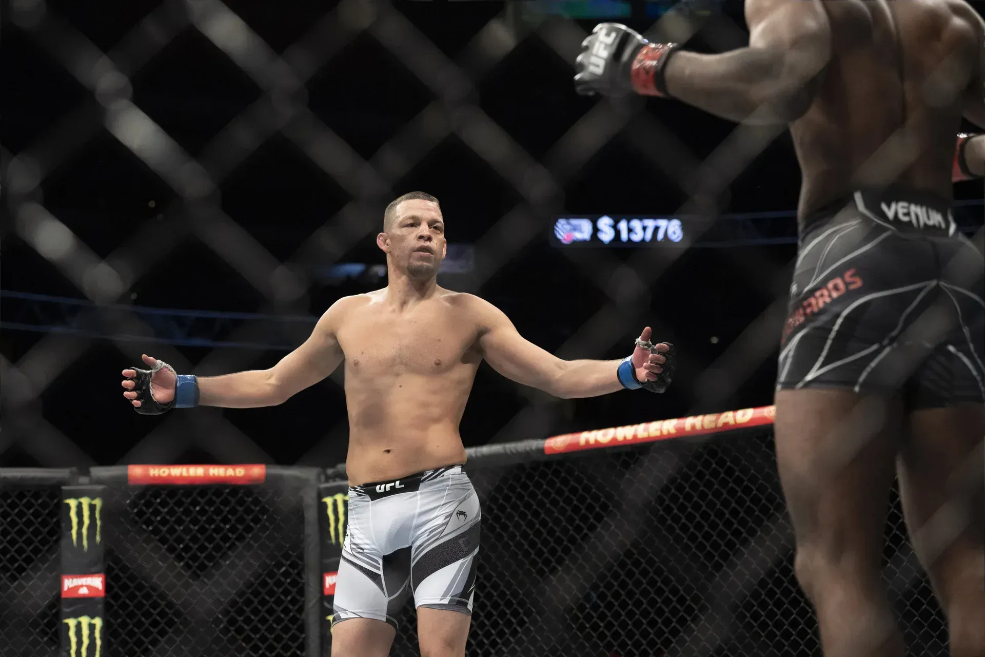 MMA article image