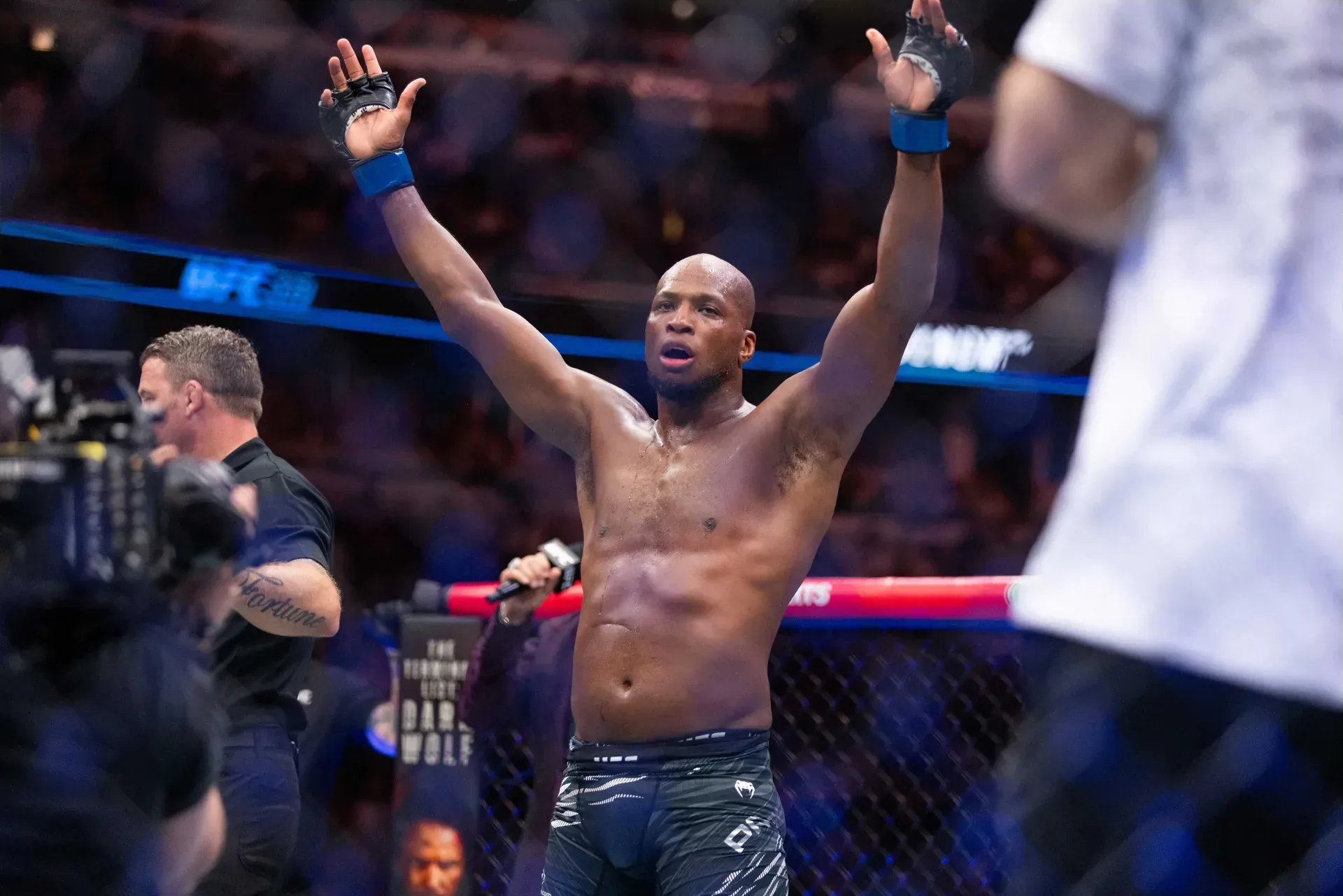 MMA article image