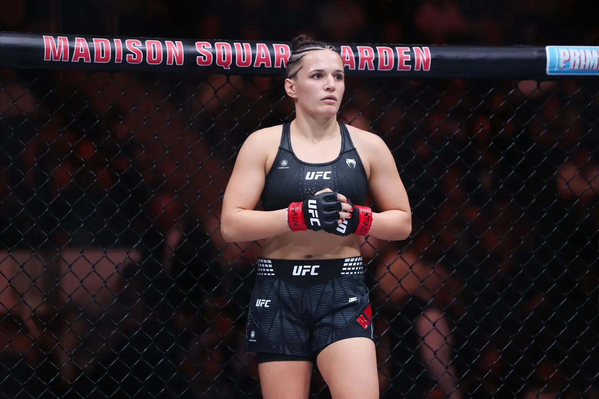 MMA article image