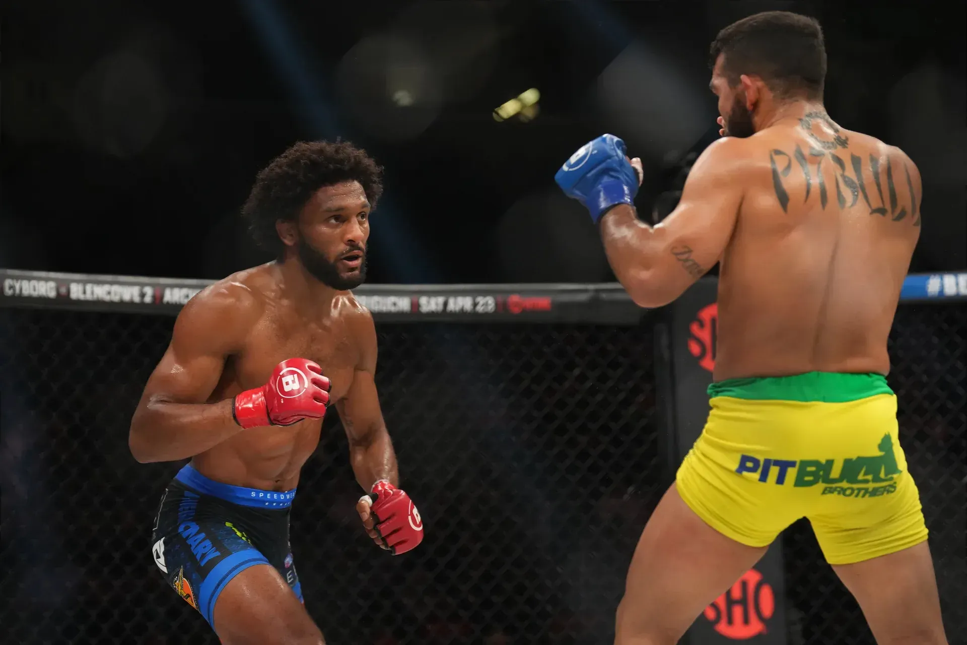MMA article image