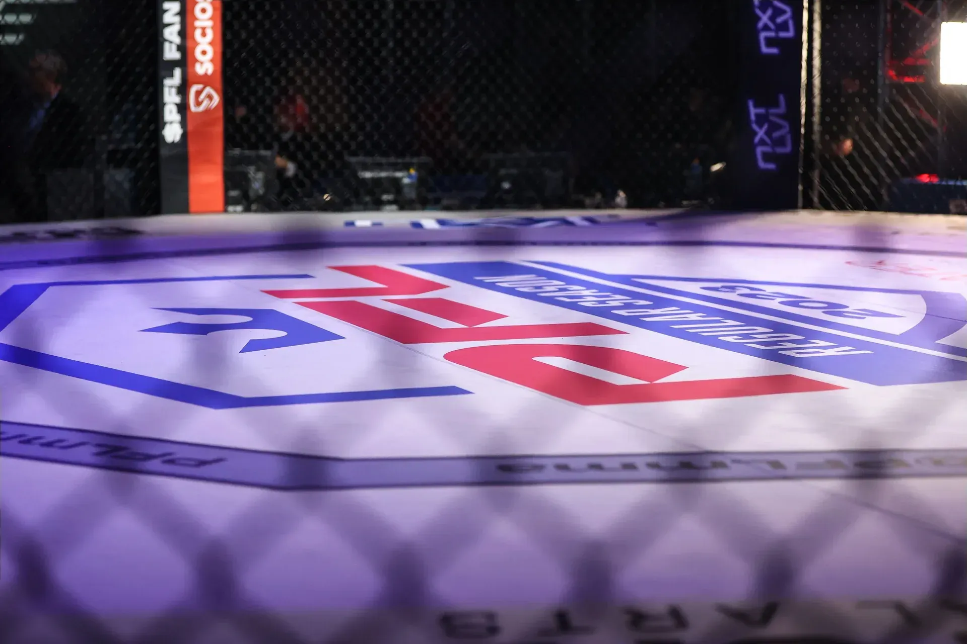 MMA article image