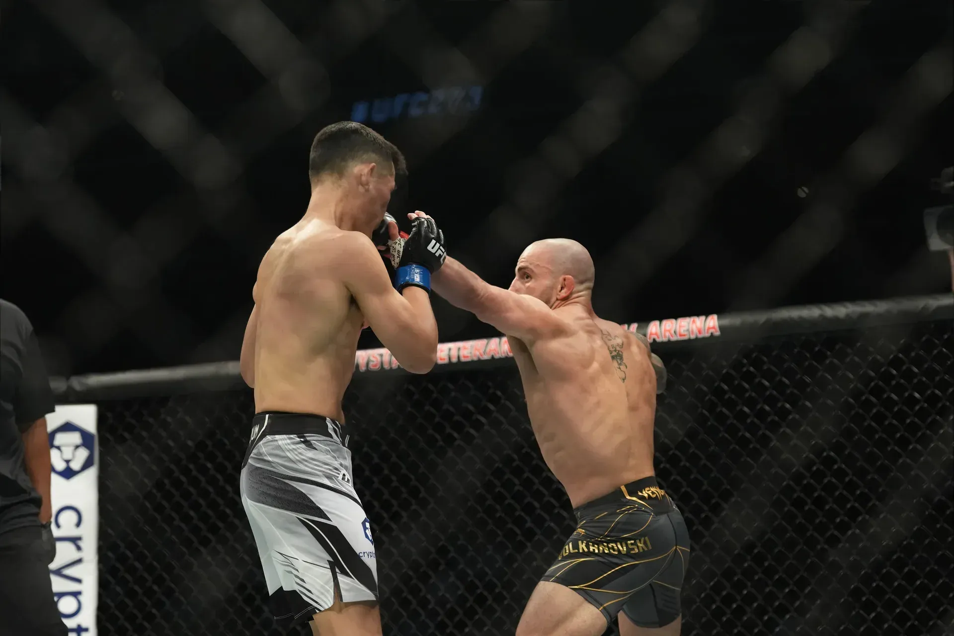MMA article image