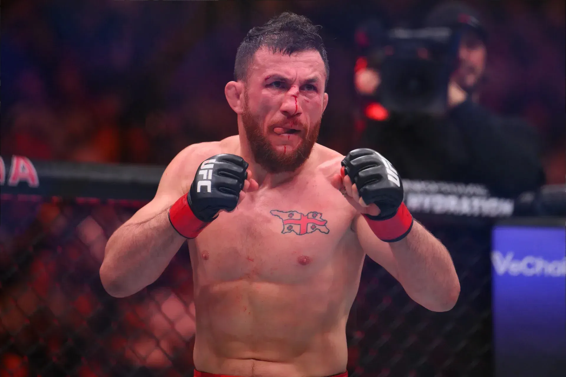 MMA article image