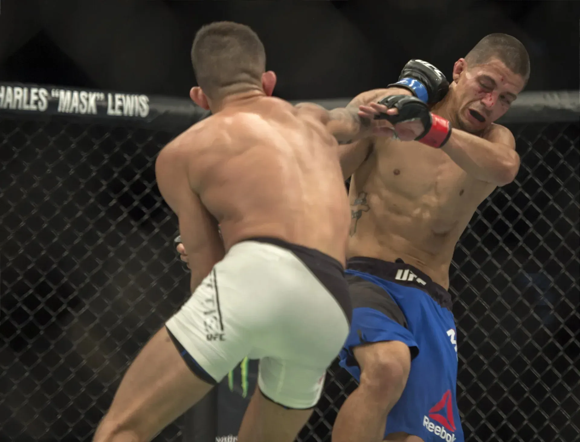 MMA article image