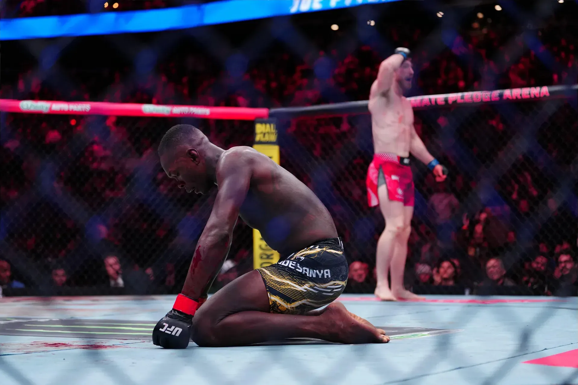 MMA article image