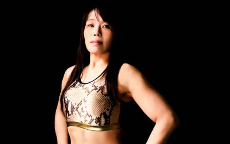 Image for Takayo Hashi will make sure she wins “decisively” at Invicta FC 9