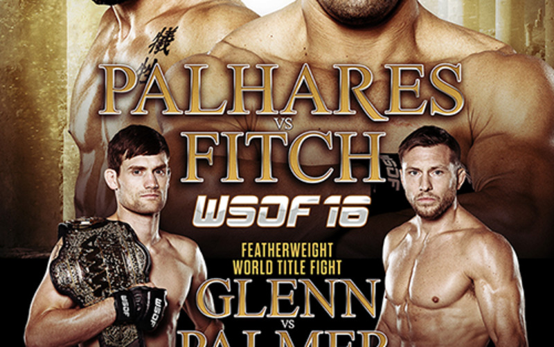 Image for WSOF 16 set for December 13 with Palhares vs Fitch and Glenn vs Palmer