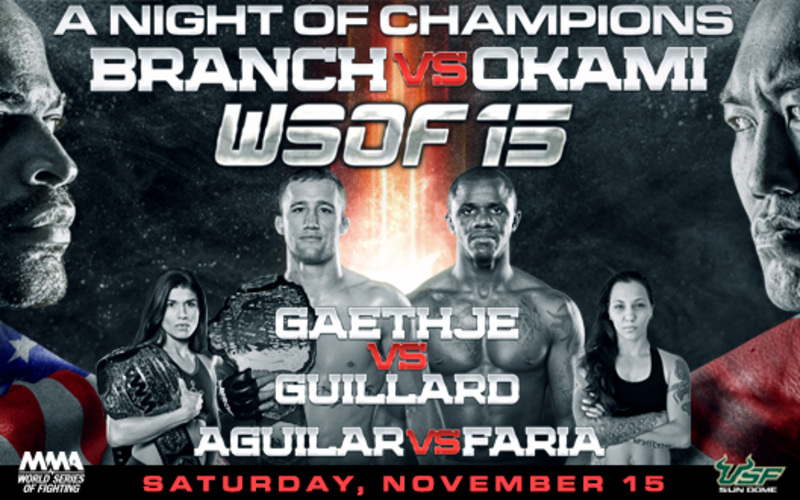 Image for WSOF 15 Quick Results and Reactions