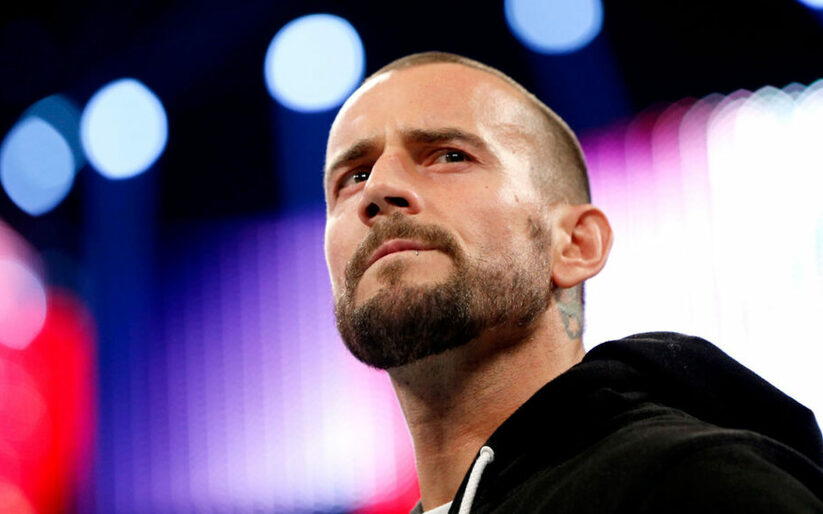 Image for CM Punk signs with the UFC