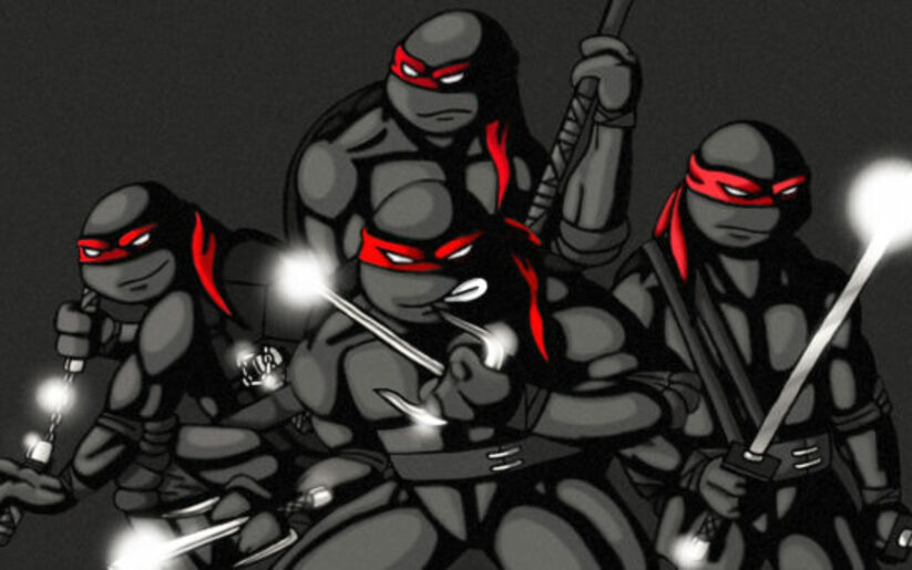 Image for MMASucka Product Review: Fusion Fight Gear Teenage Mutant Ninja Turtle Line