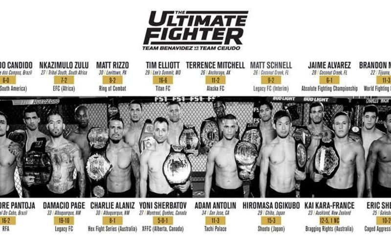 Image for Worldwide Flyweight Champion cast announced for TUF 24