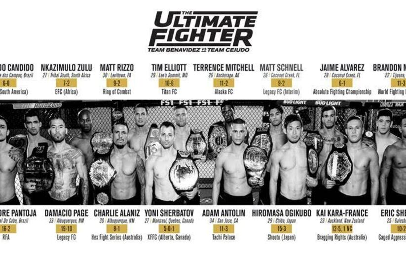 Image for The Walkout Consultant: TUF 24 Finale