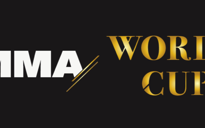 Image for MMA World Cup has finally arrived