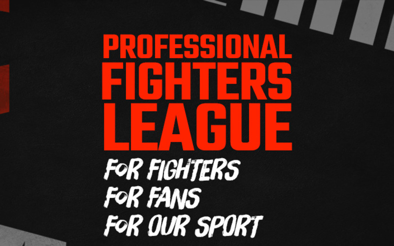 Image for WSOF changes name to Professional Fight League