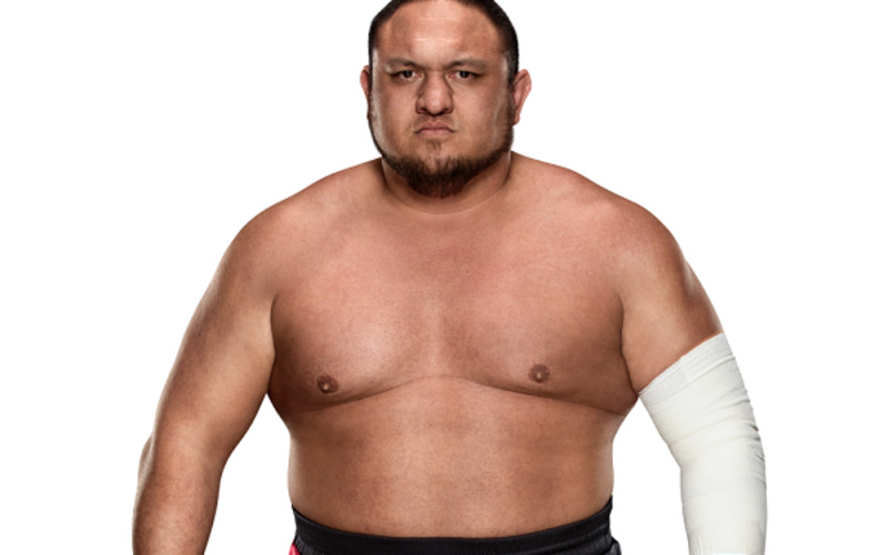 Image for Samoa Joe lined up for dream match vs. Lesnar