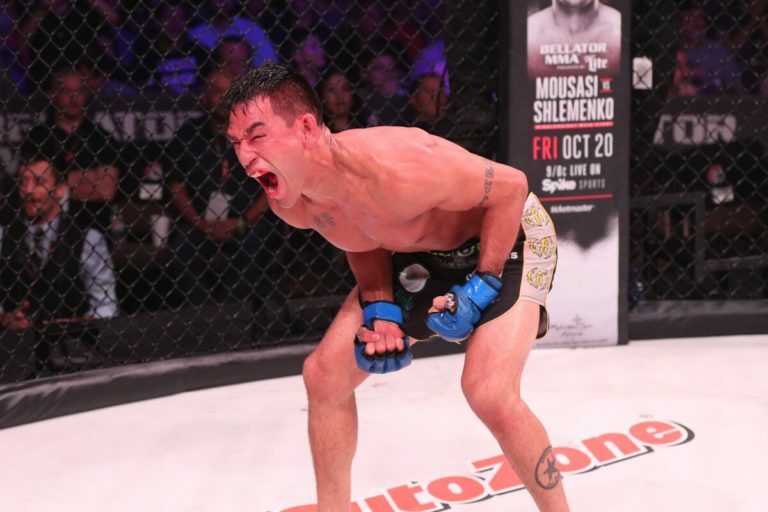 Five Stars of Bellator 184