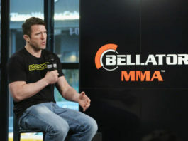 Comparing the Bellator heavyweight gran prix to Strikeforce's