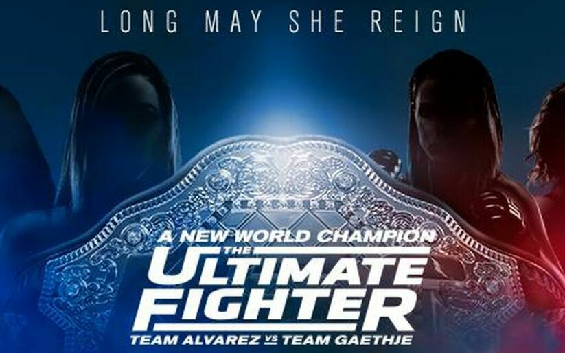 Image for The Walkout Consultant: TUF 26 Finale