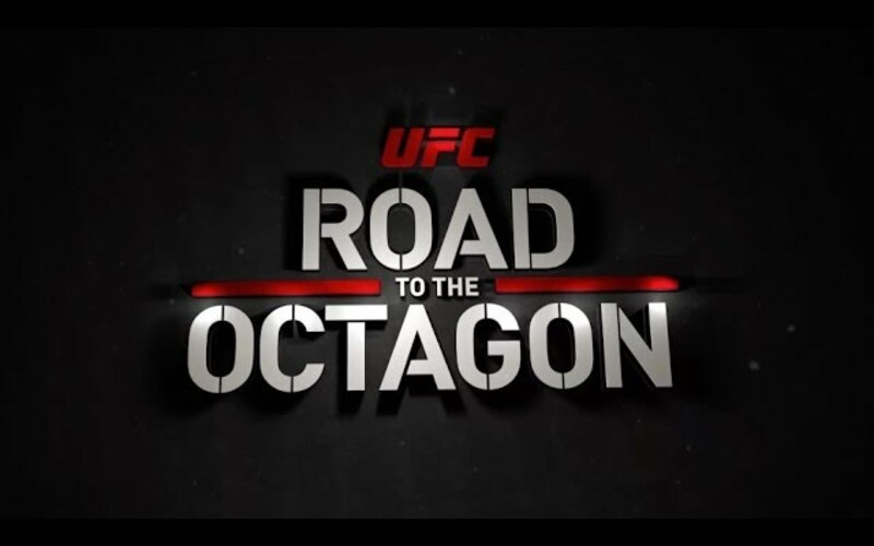 Image for UFC on FOX 28: Road to the Octagon
