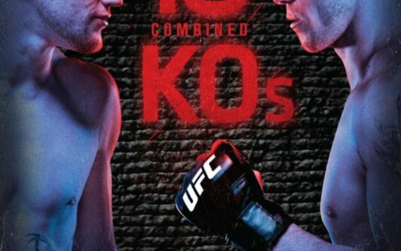 Image for The Walkout Consultant: UFC Fight Night 135 Walkout Songs