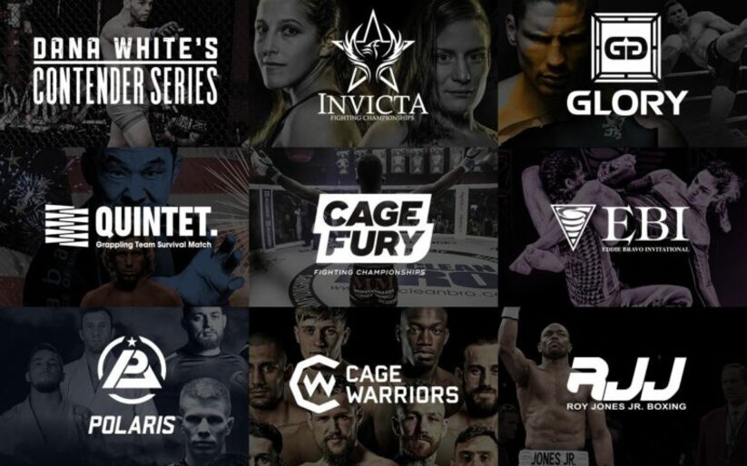 Image for CES MMA Partners with UFC Fight Pass