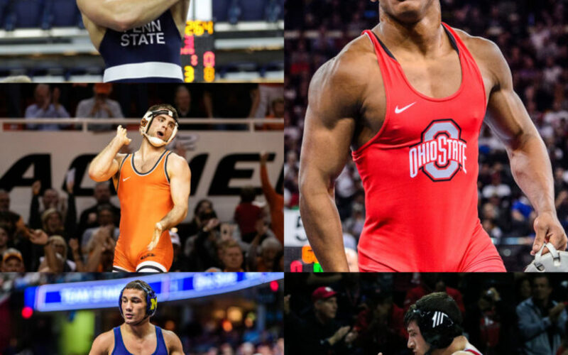 Image for Five Class of 2019 Wrestling to MMA Prospects