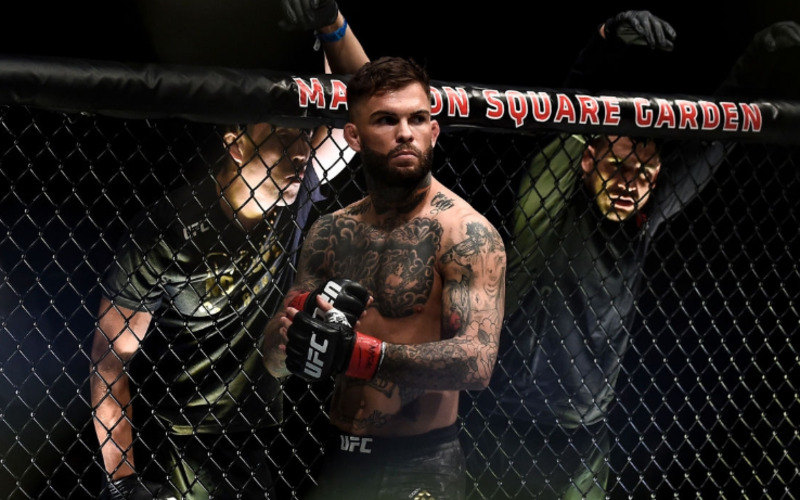Image for Holes in the Armor: An Evaluation of Cody Garbrandt