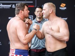 Bellator 225 main event