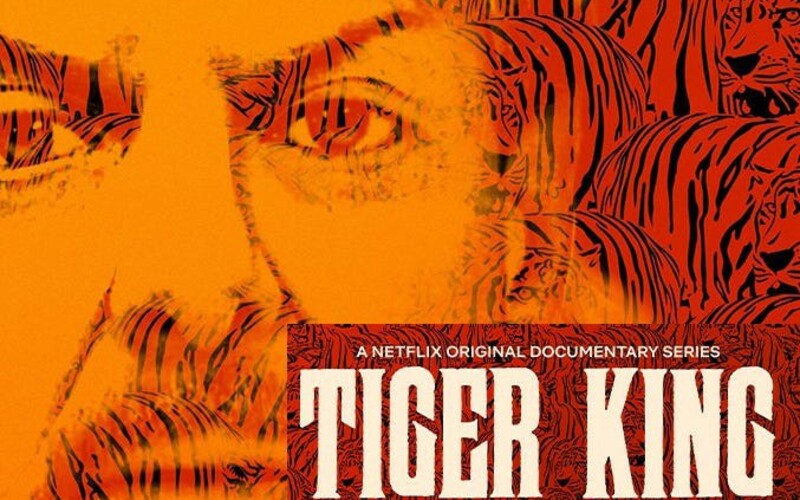 Image for The MMA World Enthralled with Tiger King