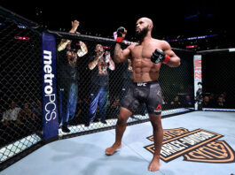 MMA GOAT - Demetrious Johnson