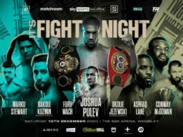 Joshua Pulev results