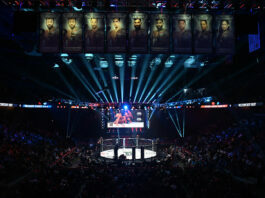 Bellator Fighter Rankings