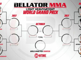 Bellator light heavyweight