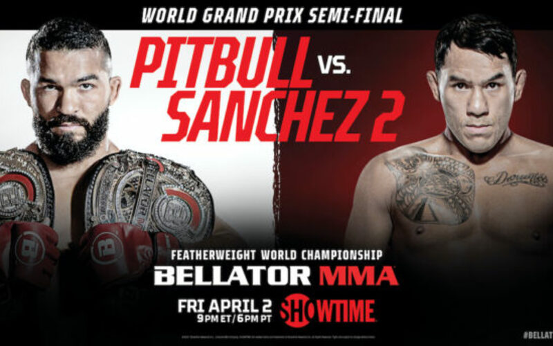 Image for Bellator 255 to air across multiple streaming platforms and TV providers