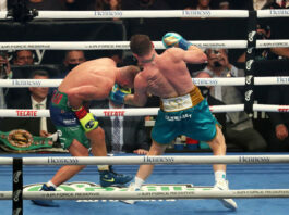 Canelo Alvarez vs. Billy Joe Saunders