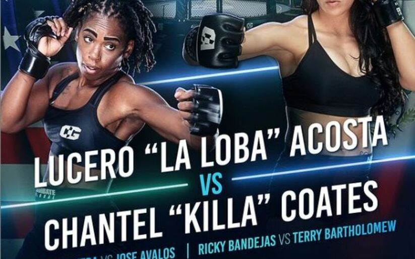 Image for Combate Global 16 Results