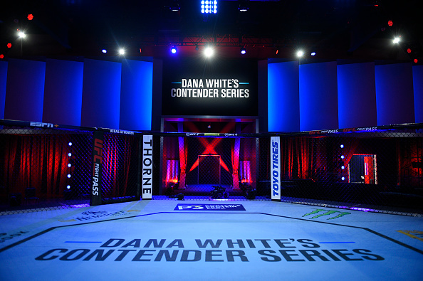 Dana White's Contender Series 43