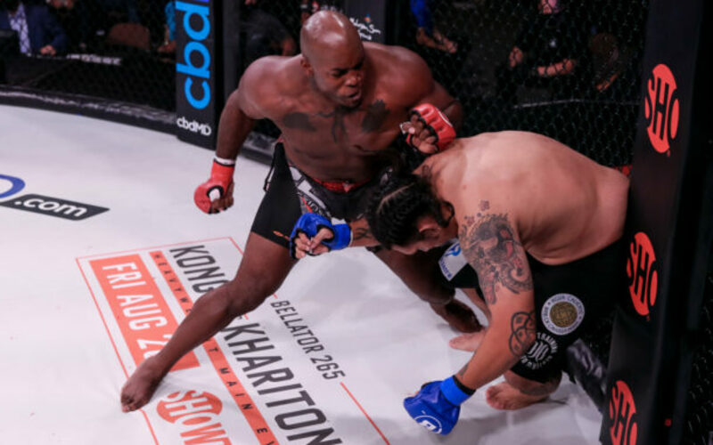Image for Undefeated Fighters Highlight Bellator 274