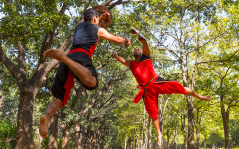 Image for Thriving Martial Arts from India