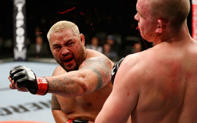 Image for Mark Hunt to return to the Boxing Ring