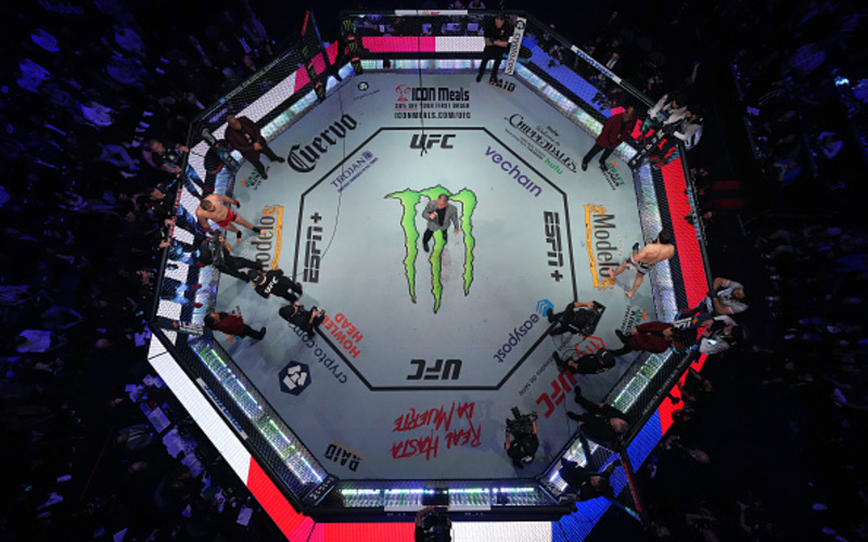 Image for From Niche Sport to Global Powerhouse: How Sponsorships Transformed the UFC