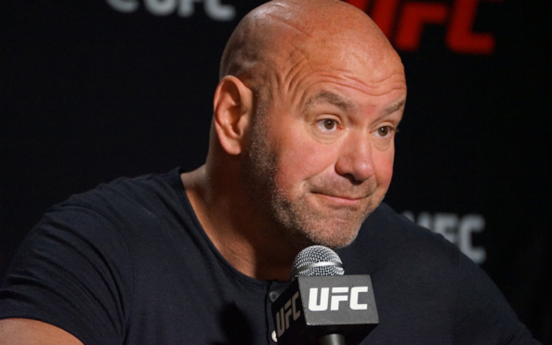 Image for Dana White Accentuates the Domestic Abuse Issue Within MMA