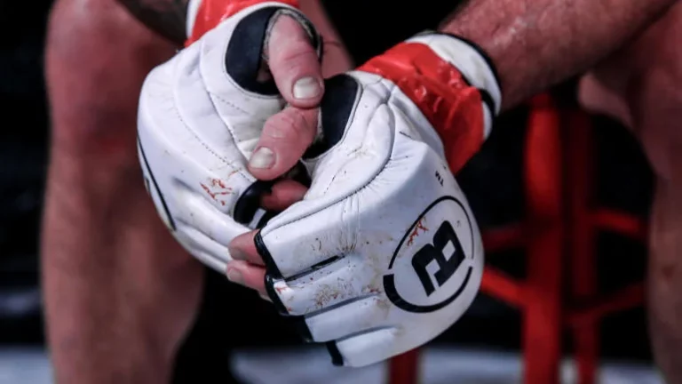 Bellator Tournament Gloves