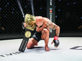 Demetrious Johnson Victorious