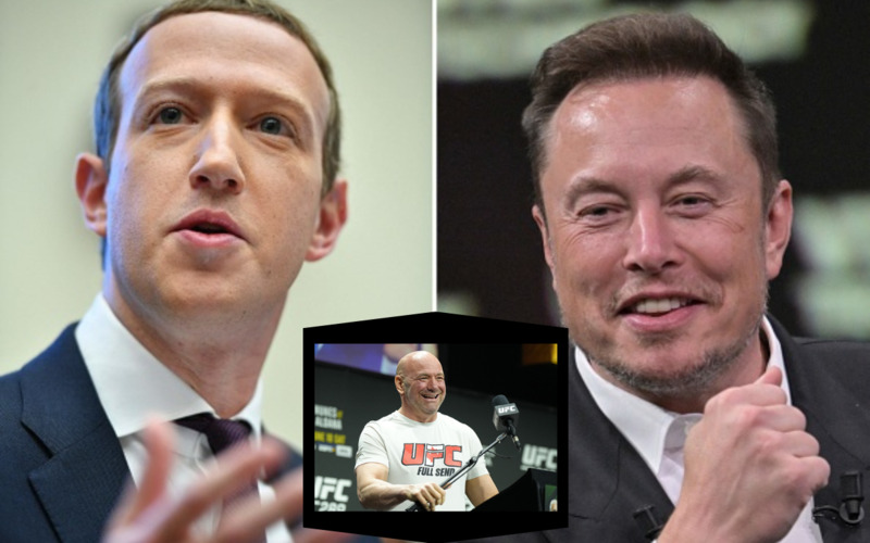 Image for Clash of Titans: The Hypothetical Elon Musk vs. Mark Zuckerberg MMA Showdown