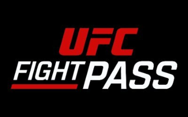 Image for New Era for MMA Fans and Fighters